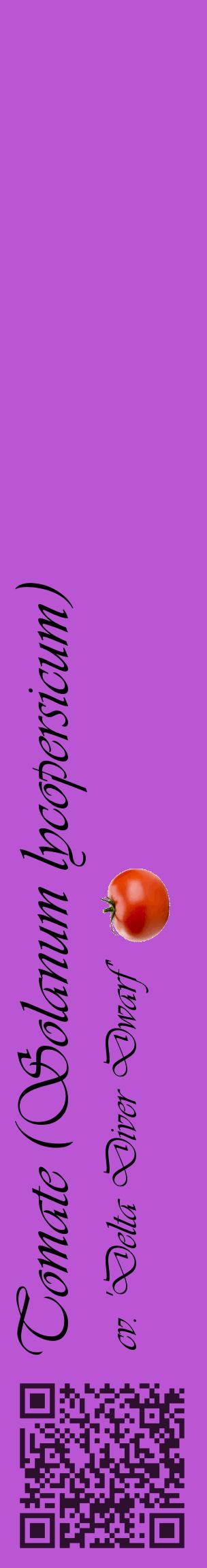 Étiquette de : Solanum lycopersicum cv. 'Delta Diver Dwarf' - format c - style noire50_basiqueviv avec qrcode et comestibilité simplifiée