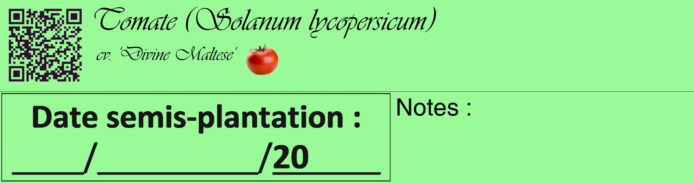 Étiquette de : Solanum lycopersicum cv. 'Divine Maltese' - format c - style noire14_basique_basiqueviv avec qrcode et comestibilité simplifiée