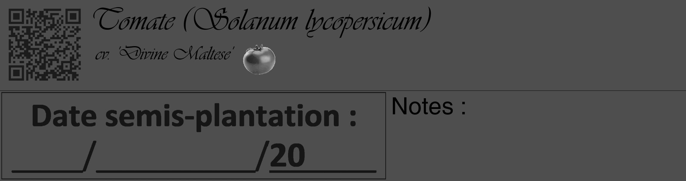 Étiquette de : Solanum lycopersicum cv. 'Divine Maltese' - format c - style noire33_basique_basiqueviv avec qrcode et comestibilité simplifiée