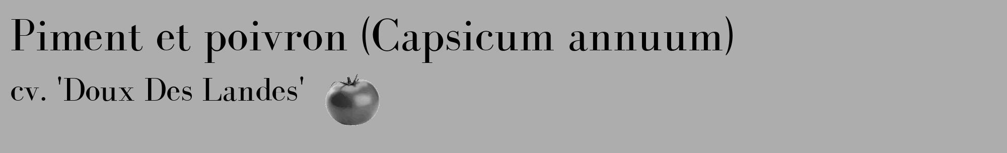 Étiquette de : Capsicum annuum cv. 'Doux Des Landes' - format c - style noire22_basique_basiquebod avec comestibilité simplifiée