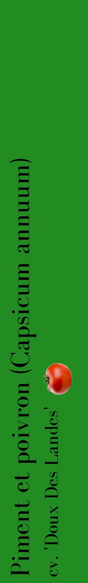 Étiquette de : Capsicum annuum cv. 'Doux Des Landes' - format c - style noire10_basiquebod avec comestibilité simplifiée