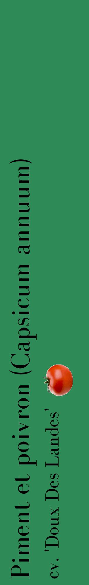 Étiquette de : Capsicum annuum cv. 'Doux Des Landes' - format c - style noire11_basiquebod avec comestibilité simplifiée