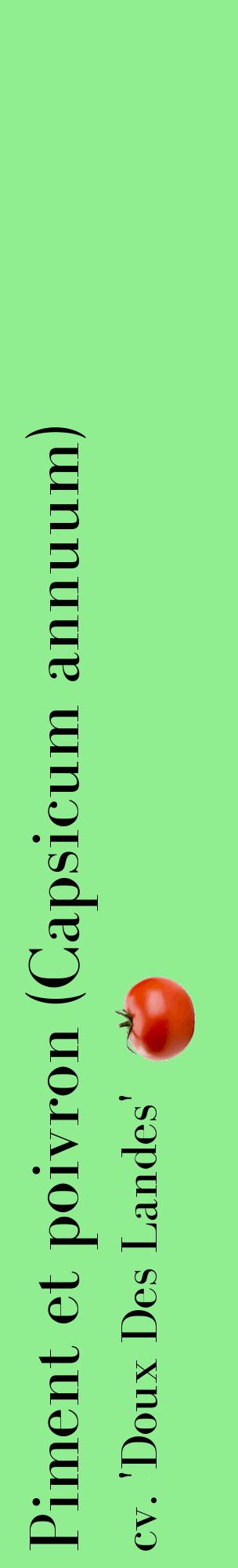 Étiquette de : Capsicum annuum cv. 'Doux Des Landes' - format c - style noire15_basiquebod avec comestibilité simplifiée