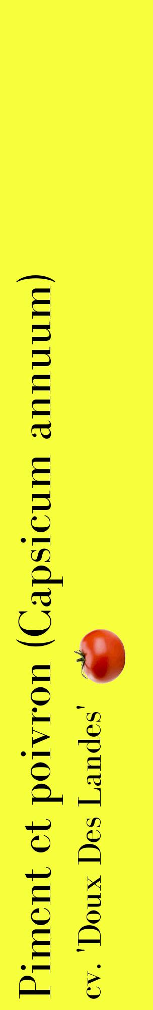 Étiquette de : Capsicum annuum cv. 'Doux Des Landes' - format c - style noire18_basiquebod avec comestibilité simplifiée