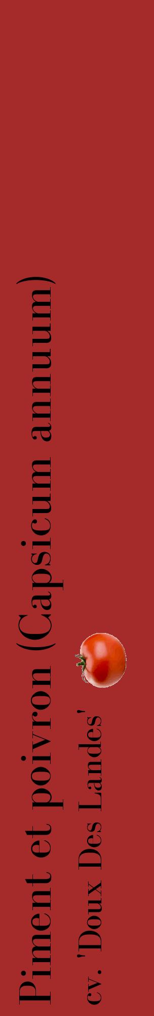Étiquette de : Capsicum annuum cv. 'Doux Des Landes' - format c - style noire33_basiquebod avec comestibilité simplifiée