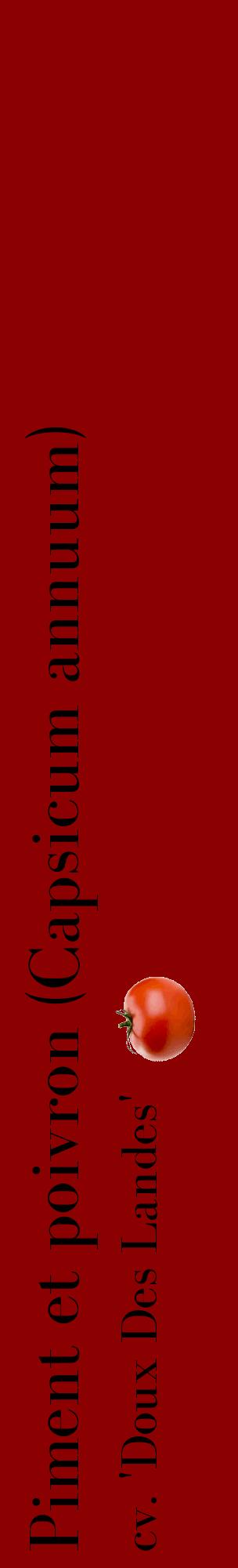 Étiquette de : Capsicum annuum cv. 'Doux Des Landes' - format c - style noire34_basiquebod avec comestibilité simplifiée