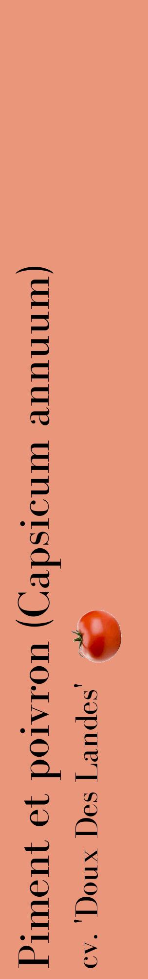 Étiquette de : Capsicum annuum cv. 'Doux Des Landes' - format c - style noire37_basiquebod avec comestibilité simplifiée