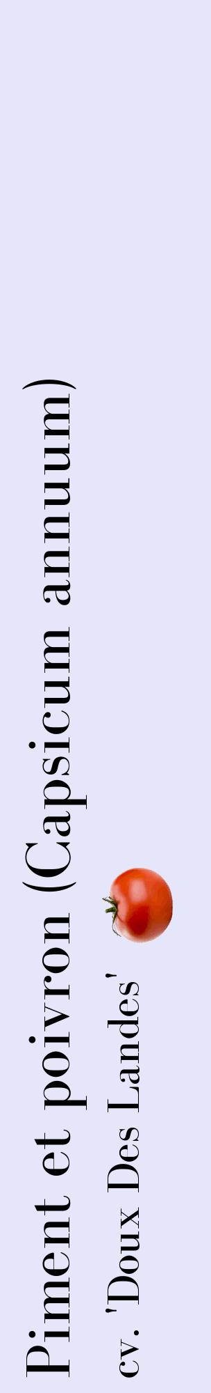 Étiquette de : Capsicum annuum cv. 'Doux Des Landes' - format c - style noire55_basiquebod avec comestibilité simplifiée