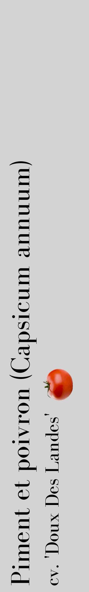 Étiquette de : Capsicum annuum cv. 'Doux Des Landes' - format c - style noire56_basiquebod avec comestibilité simplifiée