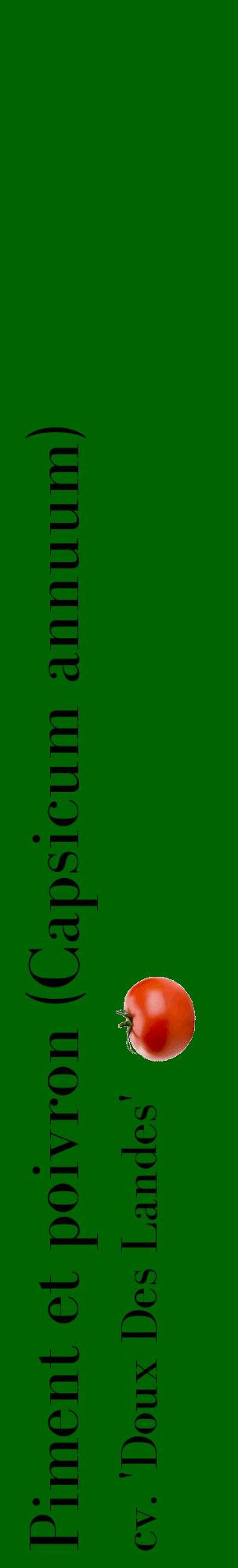 Étiquette de : Capsicum annuum cv. 'Doux Des Landes' - format c - style noire8_basiquebod avec comestibilité simplifiée