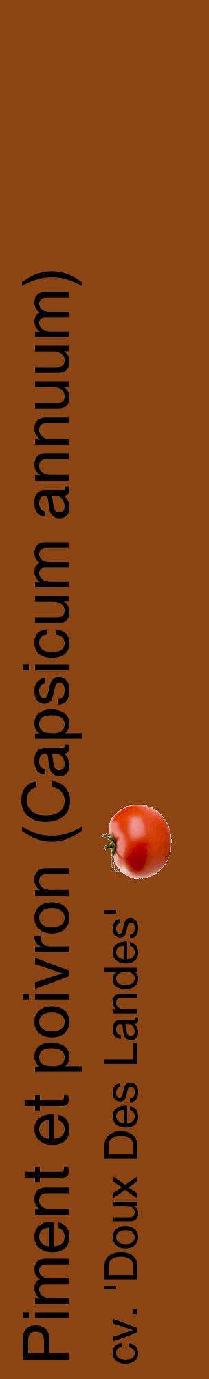 Étiquette de : Capsicum annuum cv. 'Doux Des Landes' - format c - style noire30_basiquehel avec comestibilité simplifiée