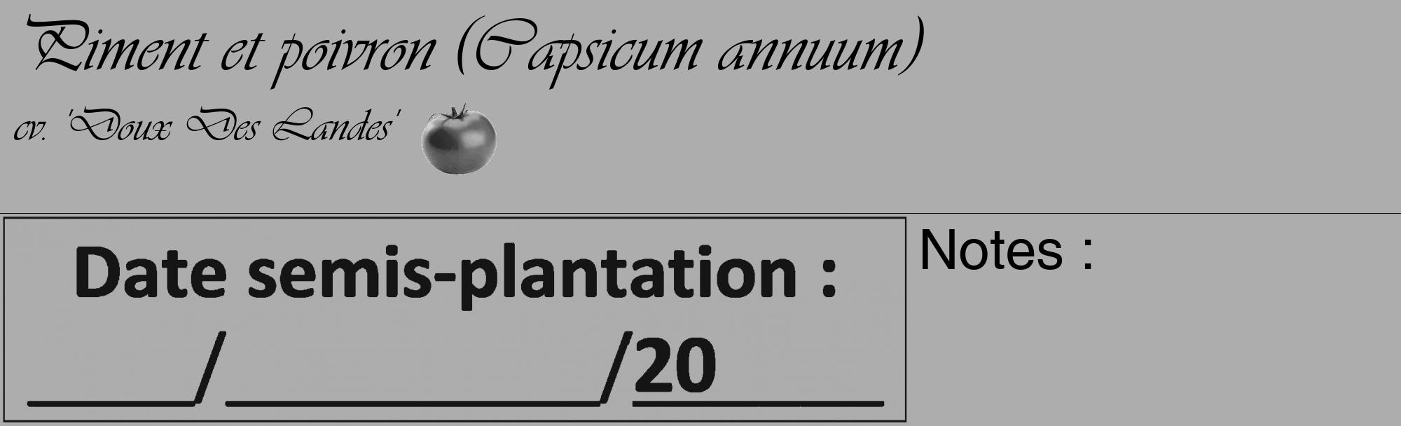 Étiquette de : Capsicum annuum cv. 'Doux Des Landes' - format c - style noire22_basique_basiqueviv avec comestibilité simplifiée