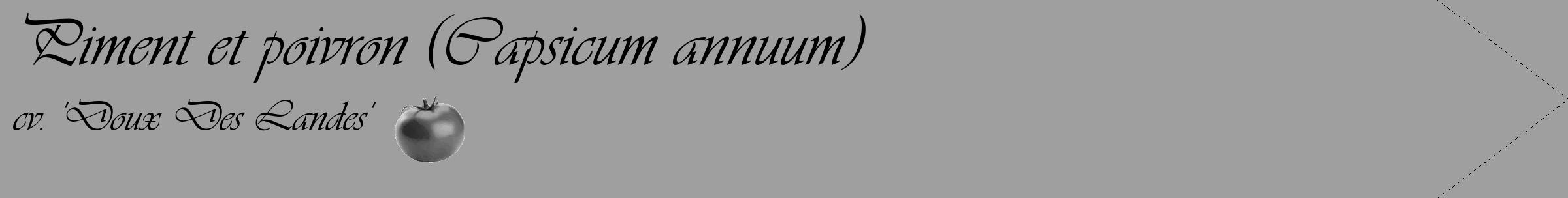 Étiquette de : Capsicum annuum cv. 'Doux Des Landes' - format c - style noire24_simple_simpleviv avec comestibilité simplifiée