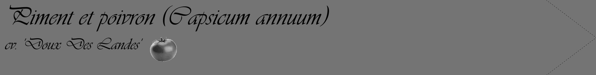 Étiquette de : Capsicum annuum cv. 'Doux Des Landes' - format c - style noire26_simple_simpleviv avec comestibilité simplifiée