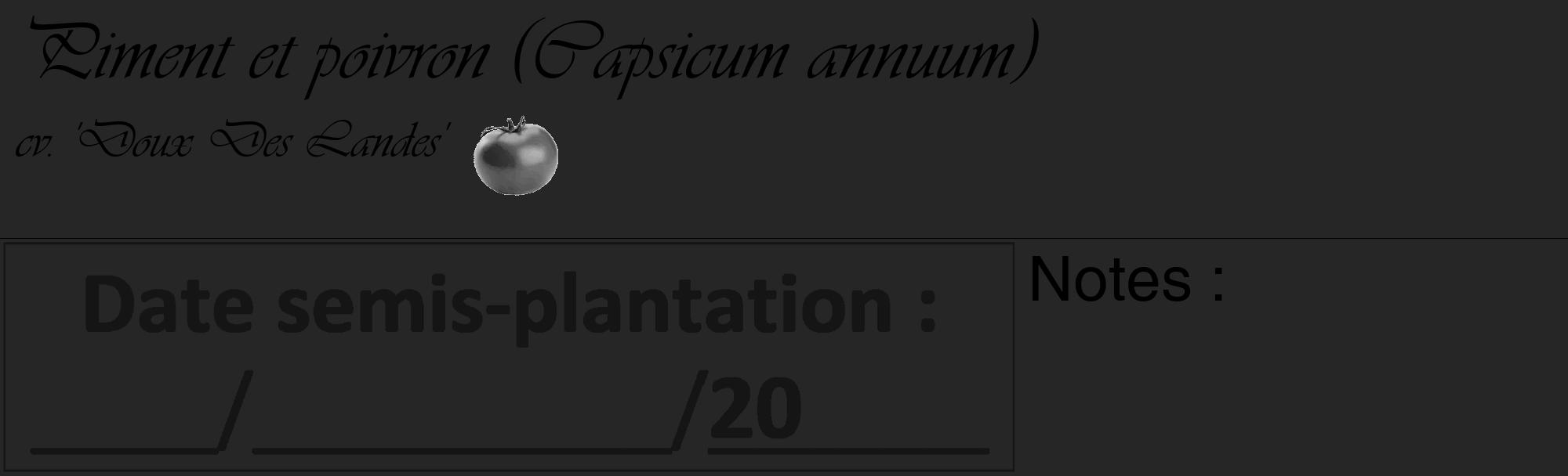 Étiquette de : Capsicum annuum cv. 'Doux Des Landes' - format c - style noire29_basique_basiqueviv avec comestibilité simplifiée