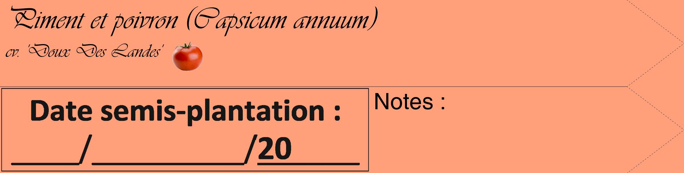 Étiquette de : Capsicum annuum cv. 'Doux Des Landes' - format c - style noire39_simple_simpleviv avec comestibilité simplifiée