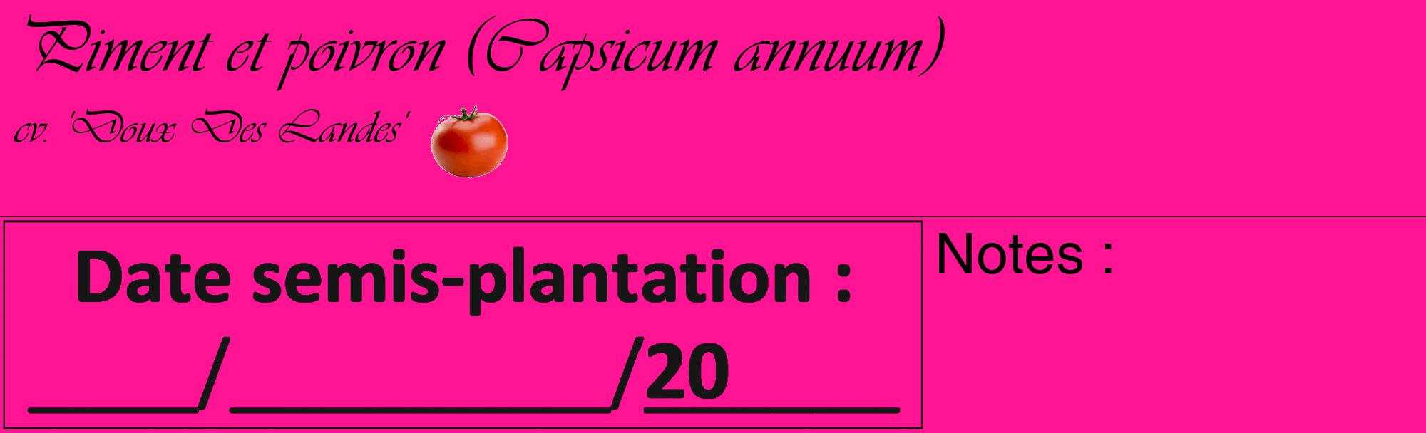 Étiquette de : Capsicum annuum cv. 'Doux Des Landes' - format c - style noire43_basique_basiqueviv avec comestibilité simplifiée