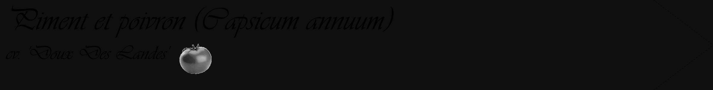Étiquette de : Capsicum annuum cv. 'Doux Des Landes' - format c - style noire7_simple_simpleviv avec comestibilité simplifiée