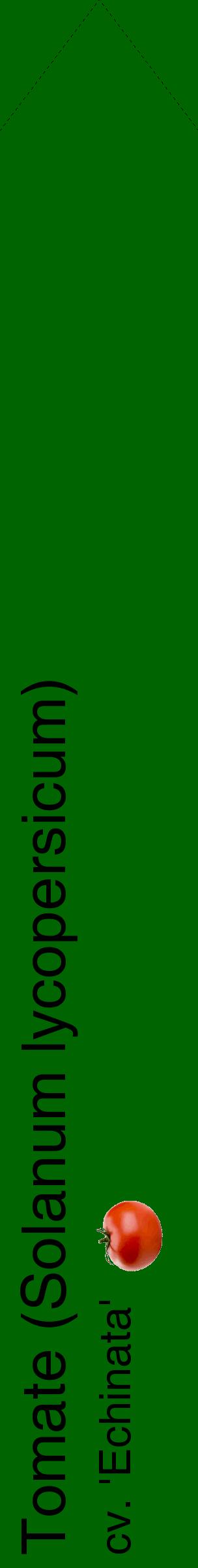 Étiquette de : Solanum lycopersicum cv. 'Echinata' - format c - style noire8_simplehel avec comestibilité simplifiée