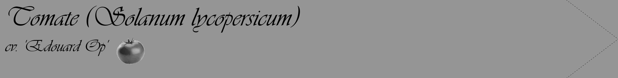Étiquette de : Solanum lycopersicum cv. 'Edouard Op' - format c - style noire16_simple_simpleviv avec comestibilité simplifiée