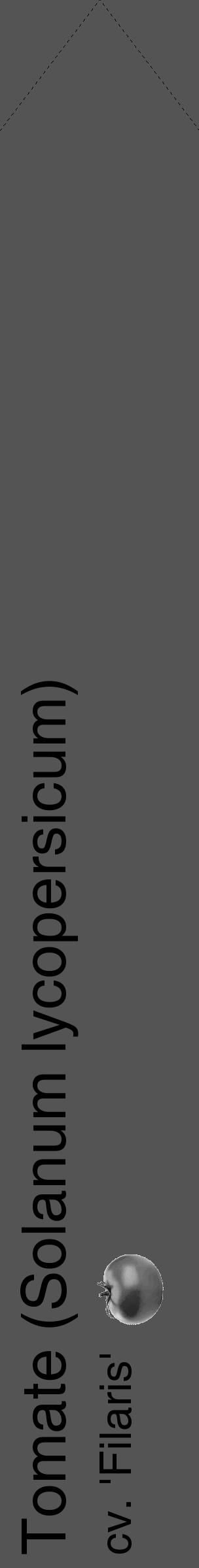 Étiquette de : Solanum lycopersicum cv. 'Filaris' - format c - style noire36_simple_simplehel avec comestibilité simplifiée - position verticale