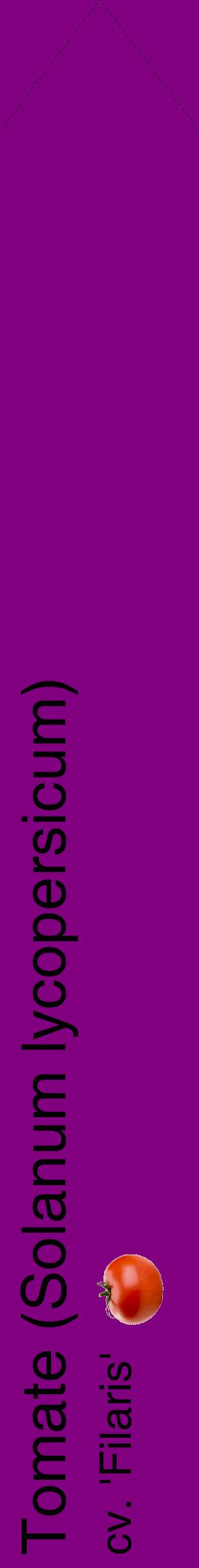 Étiquette de : Solanum lycopersicum cv. 'Filaris' - format c - style noire46_simplehel avec comestibilité simplifiée