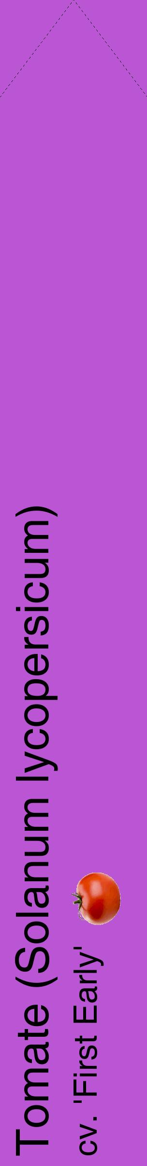 Étiquette de : Solanum lycopersicum cv. 'First Early' - format c - style noire50_simplehel avec comestibilité simplifiée