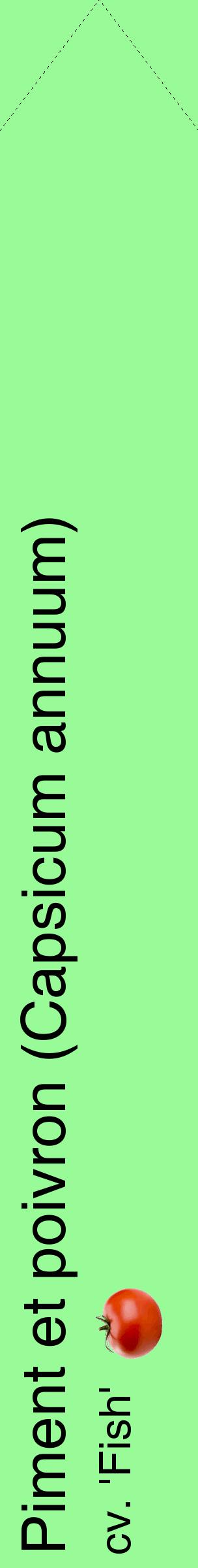 Étiquette de : Capsicum annuum cv. 'Fish' - format c - style noire14_simplehel avec comestibilité simplifiée