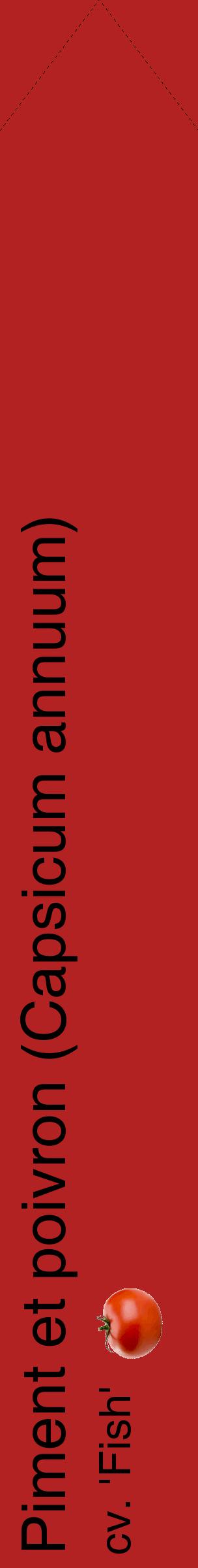 Étiquette de : Capsicum annuum cv. 'Fish' - format c - style noire28_simplehel avec comestibilité simplifiée