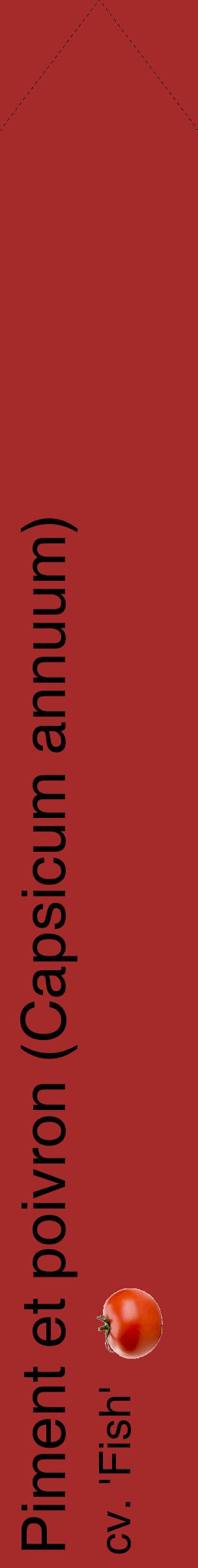 Étiquette de : Capsicum annuum cv. 'Fish' - format c - style noire33_simplehel avec comestibilité simplifiée