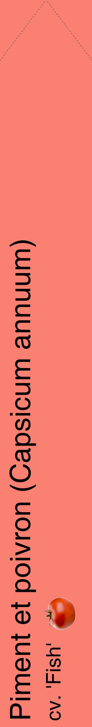 Étiquette de : Capsicum annuum cv. 'Fish' - format c - style noire38_simplehel avec comestibilité simplifiée