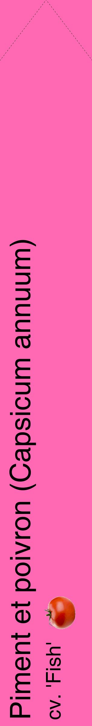 Étiquette de : Capsicum annuum cv. 'Fish' - format c - style noire42_simplehel avec comestibilité simplifiée