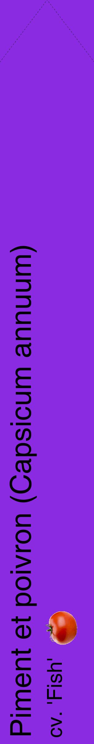 Étiquette de : Capsicum annuum cv. 'Fish' - format c - style noire49_simplehel avec comestibilité simplifiée