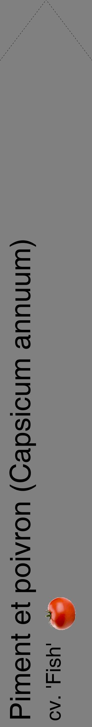 Étiquette de : Capsicum annuum cv. 'Fish' - format c - style noire57_simplehel avec comestibilité simplifiée