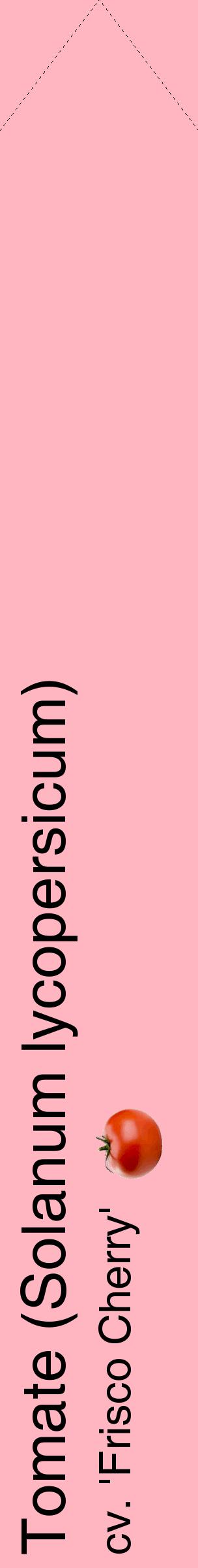 Étiquette de : Solanum lycopersicum cv. 'Frisco Cherry' - format c - style noire41_simplehel avec comestibilité simplifiée
