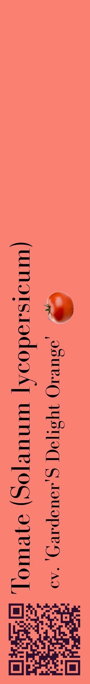 Étiquette de : Solanum lycopersicum cv. 'Gardener'S Delight Orange' - format c - style noire38_basiquebod avec qrcode et comestibilité simplifiée