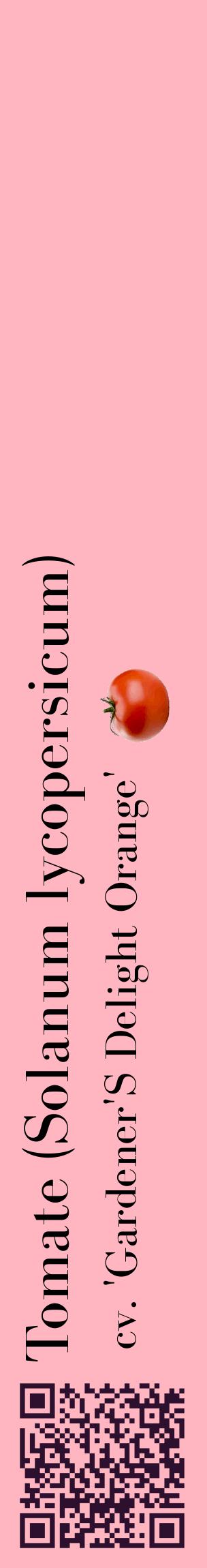 Étiquette de : Solanum lycopersicum cv. 'Gardener'S Delight Orange' - format c - style noire41_basiquebod avec qrcode et comestibilité simplifiée