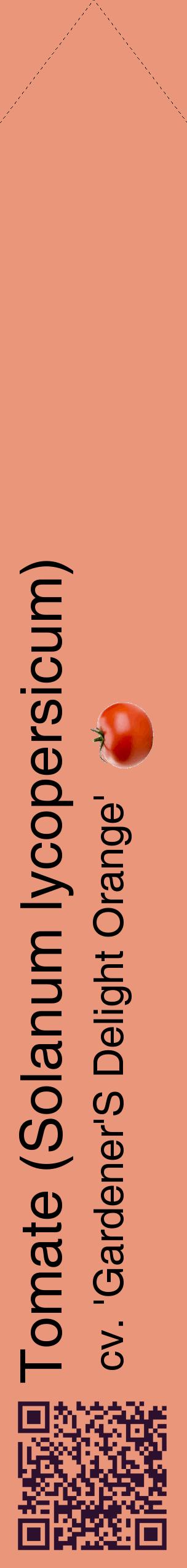 Étiquette de : Solanum lycopersicum cv. 'Gardener'S Delight Orange' - format c - style noire37_simplehel avec qrcode et comestibilité simplifiée