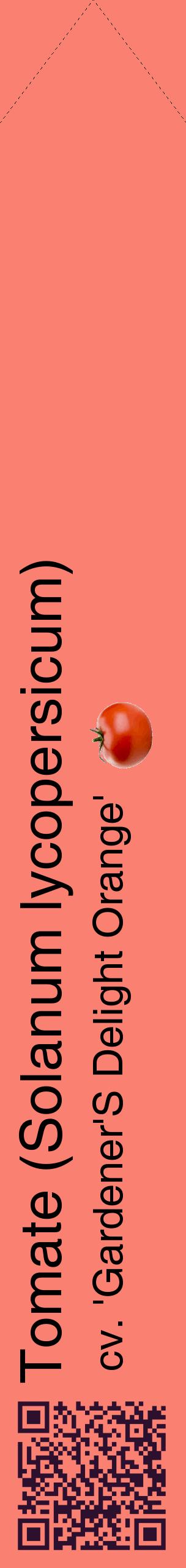 Étiquette de : Solanum lycopersicum cv. 'Gardener'S Delight Orange' - format c - style noire38_simplehel avec qrcode et comestibilité simplifiée