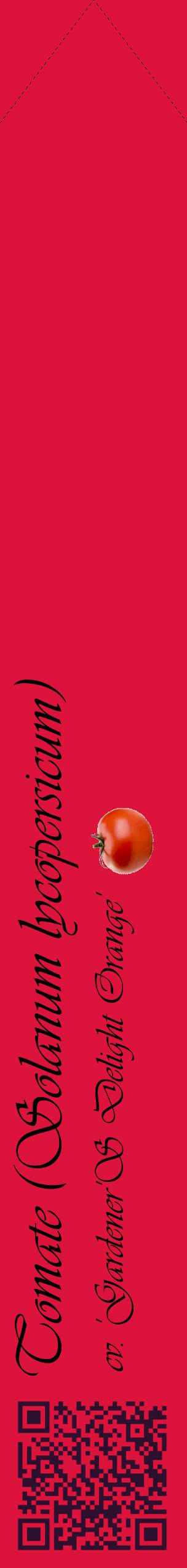 Étiquette de : Solanum lycopersicum cv. 'Gardener'S Delight Orange' - format c - style noire36_simpleviv avec qrcode et comestibilité simplifiée