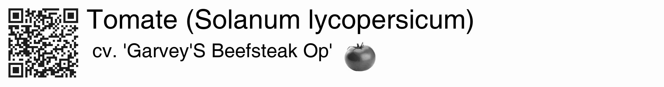 Étiquette de : Solanum lycopersicum cv. 'Garvey'S Beefsteak Op' - format c - style noire19_basique_basiquehel avec qrcode et comestibilité simplifiée