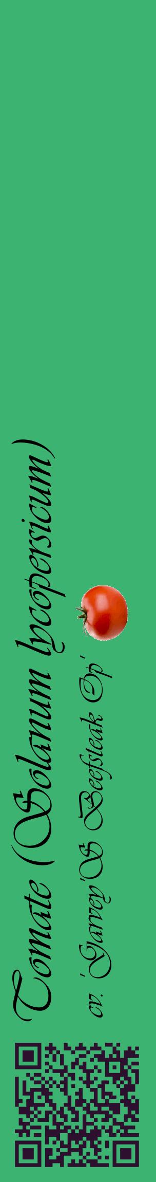 Étiquette de : Solanum lycopersicum cv. 'Garvey'S Beefsteak Op' - format c - style noire12_basiqueviv avec qrcode et comestibilité simplifiée