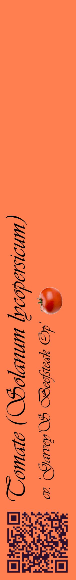 Étiquette de : Solanum lycopersicum cv. 'Garvey'S Beefsteak Op' - format c - style noire24_basiqueviv avec qrcode et comestibilité simplifiée