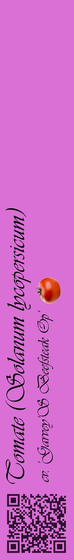 Étiquette de : Solanum lycopersicum cv. 'Garvey'S Beefsteak Op' - format c - style noire52_basiqueviv avec qrcode et comestibilité simplifiée