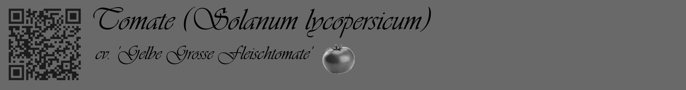 Étiquette de : Solanum lycopersicum cv. 'Gelbe Grosse Fleischtomate' - format c - style noire11_basique_basiqueviv avec qrcode et comestibilité simplifiée