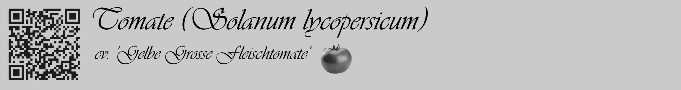 Étiquette de : Solanum lycopersicum cv. 'Gelbe Grosse Fleischtomate' - format c - style noire21_basique_basiqueviv avec qrcode et comestibilité simplifiée
