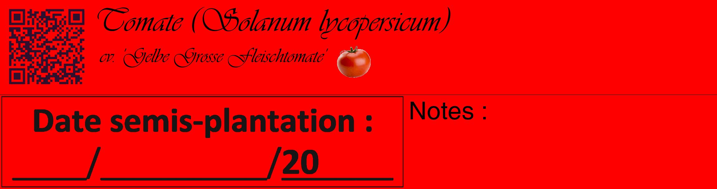 Étiquette de : Solanum lycopersicum cv. 'Gelbe Grosse Fleischtomate' - format c - style noire27_basique_basiqueviv avec qrcode et comestibilité simplifiée