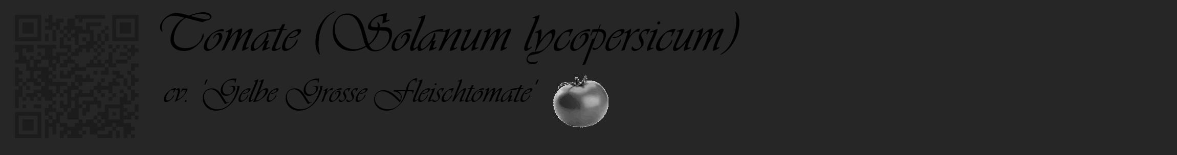 Étiquette de : Solanum lycopersicum cv. 'Gelbe Grosse Fleischtomate' - format c - style noire29_basique_basiqueviv avec qrcode et comestibilité simplifiée