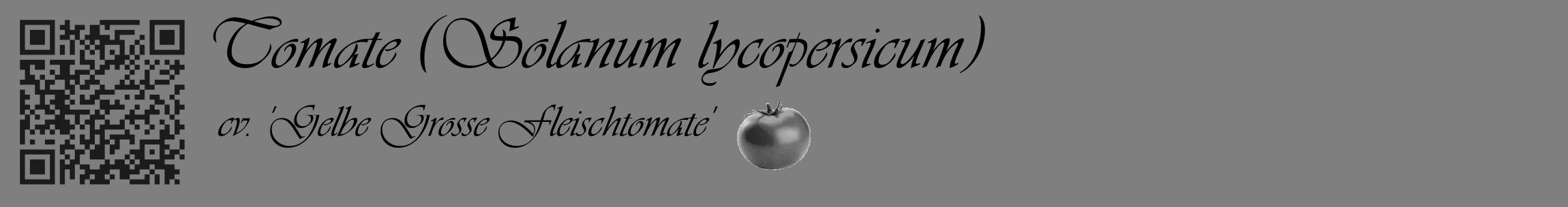 Étiquette de : Solanum lycopersicum cv. 'Gelbe Grosse Fleischtomate' - format c - style noire31_basique_basiqueviv avec qrcode et comestibilité simplifiée