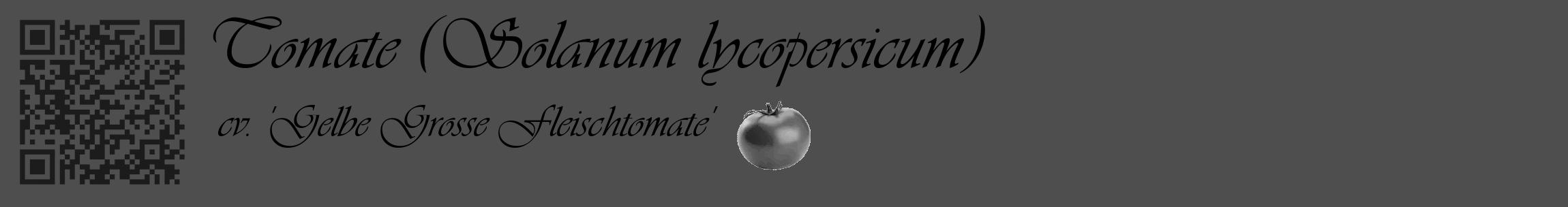 Étiquette de : Solanum lycopersicum cv. 'Gelbe Grosse Fleischtomate' - format c - style noire33_basique_basiqueviv avec qrcode et comestibilité simplifiée